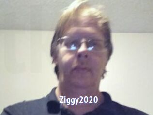 Ziggy2020