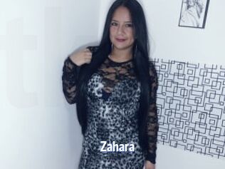_Zahara