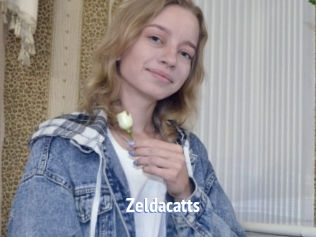 Zeldacatts