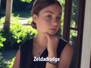 Zeldadrudge