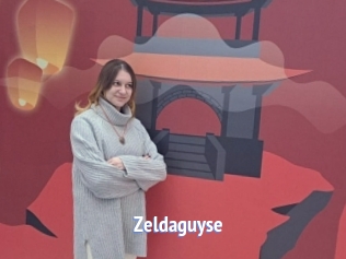 Zeldaguyse