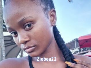 Ziebea22