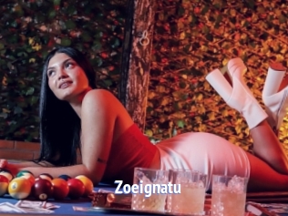 Zoeignatu