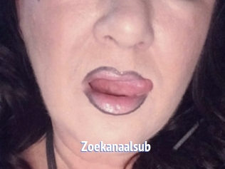 Zoekanaalsub